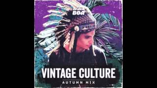 Elekfantz  She Knows Vintage Culture amp Illusionize Remix [upl. by Acile]