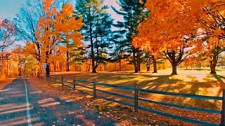 Riverside Park in Janesville Wisconsin [upl. by Keviv820]