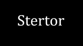 How to pronounce Stertor [upl. by Adnic]