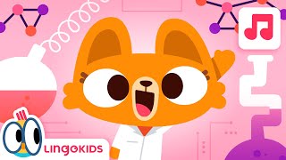 JOBS SONG 🧑‍🔬🧑‍🚀🎶 Songs for kids  Lingokids [upl. by Ezaria736]