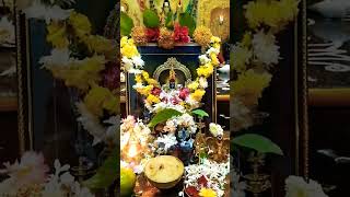 kanchipuram kamakshidevi shortvideo shortsfeed shortsvideo 🕉️🕉️🔱🔱🙏🙏🙏🙏🙏🌺🌺🌺🌹🌹🌹🌹 [upl. by Nivlen]