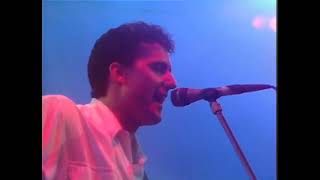 OMD  Messages Live at Sheffield City Hall  14061985 [upl. by Ecidnarb57]