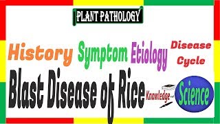 Blast disease of Rice Symptom Etiology Disease Cycle  Pyricularia oryzaeP grisea PAC 13 [upl. by Nnylkcaj748]