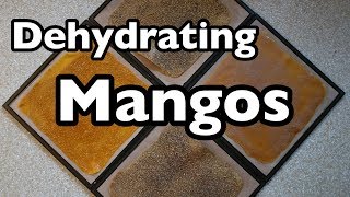 Dehydrating Mangos [upl. by Eznyl]