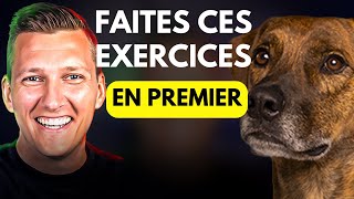 Comment Bien Démarrer Léducation Dun Chien ou Dun Chiot [upl. by Olshausen]