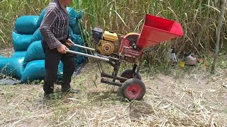 silagem de capiaçu em sacos forrageira Nogueira DPM Junior motor gasolina 7hp [upl. by Harras]