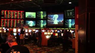 49ers vs Raven Super Bowl XLVII  Power Outage  At Las Vegas Hotel Sportsbook [upl. by Herbie]