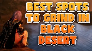 Best Spots to Grind in Black Desert Online 2024 [upl. by Onairda]