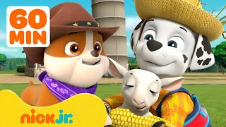 PAW Patrol Pups Save the Farm amp More Rescues 🐮 w Marshall and Rubble  1 Hour  Nick Jr [upl. by Brandais]