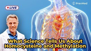 What science tells us about Homocysteine amp Methylation LIVE [upl. by Jaycee]