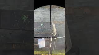 Dime vs 22 cal pellet [upl. by Bound]