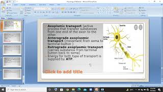 2 types of supporting cells in neuron Glia and Schwann cells in urduhindi lec [upl. by Annoid576]