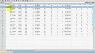 SPSS VideoSeminar  Teil 17 Datenexploration  doppelte Fälle ermitteln [upl. by Nallac]