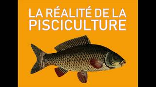 La réalité de la pisciculture [upl. by Gideon]