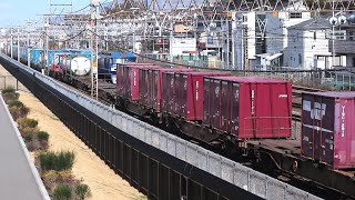 5052レ EF21018コキ23両1093レ EF210901コキ24両 戸塚付近通過 [upl. by Inad]