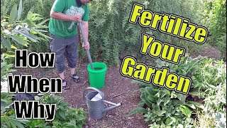 How To Fertilize Your Garden The Correct Way  How When amp Why [upl. by Lilybel]