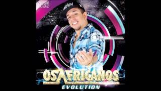 OS AFRICANOS  EVOLUTION  VERÃO 2015 COMPLETO [upl. by Bradeord]