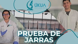 Prueba de jarras Procedimiento estándar  Úkua Lab [upl. by Maier]