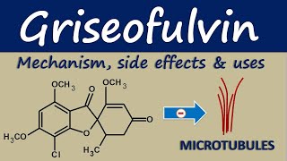 Griseofulvin  Mechanism side effects and clinical uses [upl. by Annairam766]