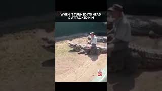 Shocking  16Foot Crocodile Attacks Zookeeper During Live Show [upl. by Jezabelle]