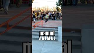 Tem a Base do Manual  Skater Masters the Manual  shorts short sports skate skateboard [upl. by Vladimar]