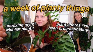 finally doing plant chores ive been procrastinating amp unboxing my 1 wishlist plant 💕 [upl. by Vala]