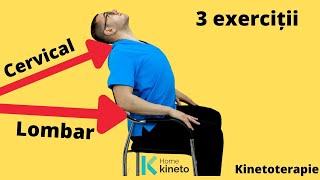 3 exerciții simple care fac minuni pentru durerile de spate lombare și pentru hernia de disc Kineto [upl. by Eirhtug914]