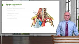 Stellate Ganglion Block – Head amp Neck Anatomy [upl. by Ltney]