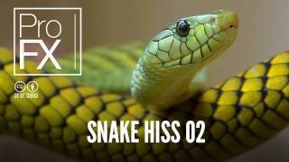 Snake hiss sound effect 2  ProFX Sound Sound Effects Free Sound Effects [upl. by Chafee573]