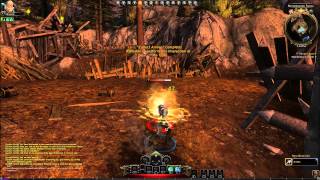 Neverwinter  Oathbound Paladin Guide Levels 15 [upl. by Eugene318]