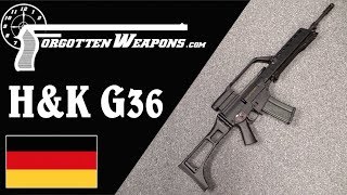 HampK G36 Germany Adopts the 556mm Cartridge [upl. by Novelia994]