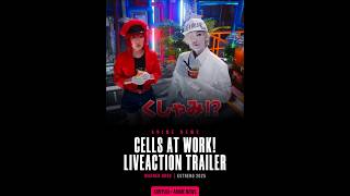 CELLS AT WORK  LIVEACTION TRAILER [upl. by Nwahsd]