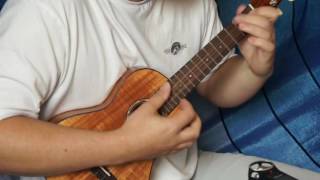 Beyond the Sea solo ukulele [upl. by Fitts586]