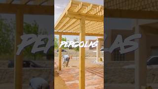 Would You Choose A Pergola shorts landscaping pergola [upl. by Ariay]