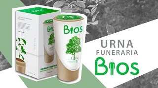 Urna biodegradable Bios [upl. by Shimkus548]