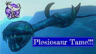 TAMING A HIGH LEVEL PLESIOSAUR  S1E33  ARK Survival Evolved [upl. by Elam]