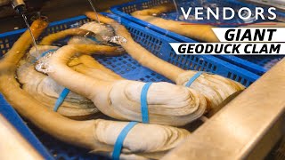 How One of the Largest and Most Expensive Clams Is Farmed — Vendors [upl. by Geminian]