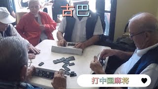 古巴人会打中国麻将，还可以暗杠，感叹中国文化博大精深啊 [upl. by Asatan]