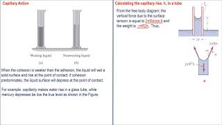 18 Capillarity الخاصية الشعرية [upl. by Atnamas]