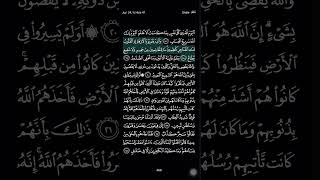 Surah Ghafir part5 [upl. by Dre]