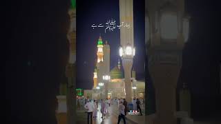 Huzoor Meri To Sari Bahar Aap Se Hai  Qari Shahid Mahmood Naat  Whatsapp Status [upl. by Adnilram299]