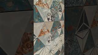 kajaria tiles showroom goddavideo like subscribe [upl. by Divine]