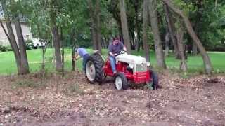 Restored 1948 Ford 8n tractor pulling out buckthorn [upl. by Furlani]