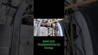 BMW 320I TRANSMISSION OIL CHANGE automobile mechancial car mechanic bmw [upl. by Culosio480]