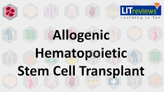 Allogeneic Hematopoietic Stem Cell Transplant [upl. by Fenn279]