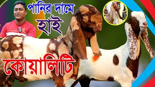 সর্বনিম্ন দামে উন্নত হাই কোয়ালিটি বিভিন্ন জাতের ছোট ও বড় ছাগল সংগ্রহ করুণ  Goat Farming [upl. by Lil327]