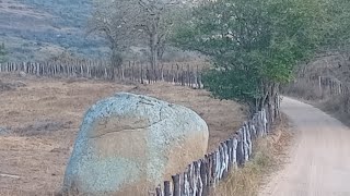 O SERTÃO MESMO NA SECA É MUITO BONITO CAATINGA NORDESTE [upl. by Nerreg]