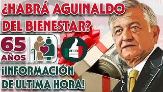 🫵💸¿ES CIERTO QUE HABRÁ UN AGUINALDO PARA LOS PENSIONADOS DEL BIENESTAR🫵💸 [upl. by Maxama]