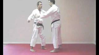 Bassai Dai kata bunkai  practical application [upl. by Nytsud480]