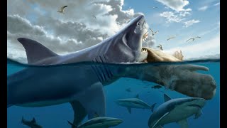 Ο Μεγαλόδοντας Carcharodon Megalodon [upl. by Auqeenahs357]